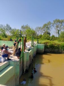 Respons Keluhan Petani, Dinas PUTR Sergai Mulai Perbaiki Pintu DAM Desa Pematang Kuala